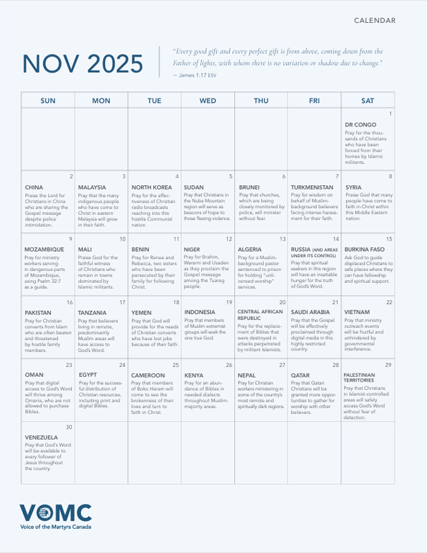 Nov 2025 Calendar