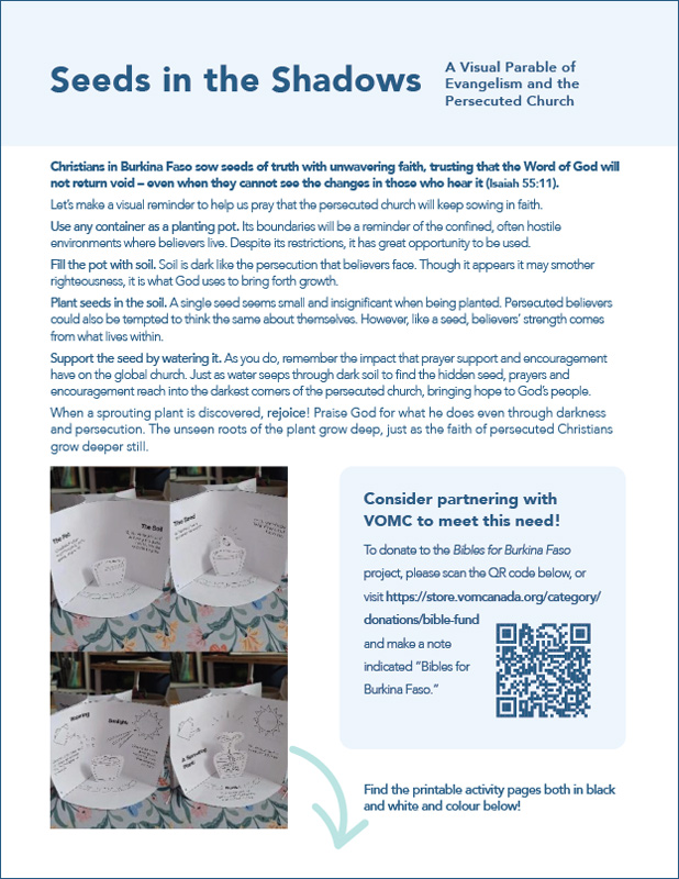 Burkina Faso - Seeds in Shadows